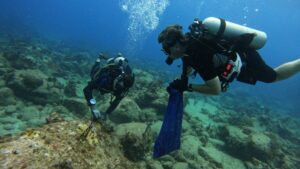 GEF Grant Awarded
