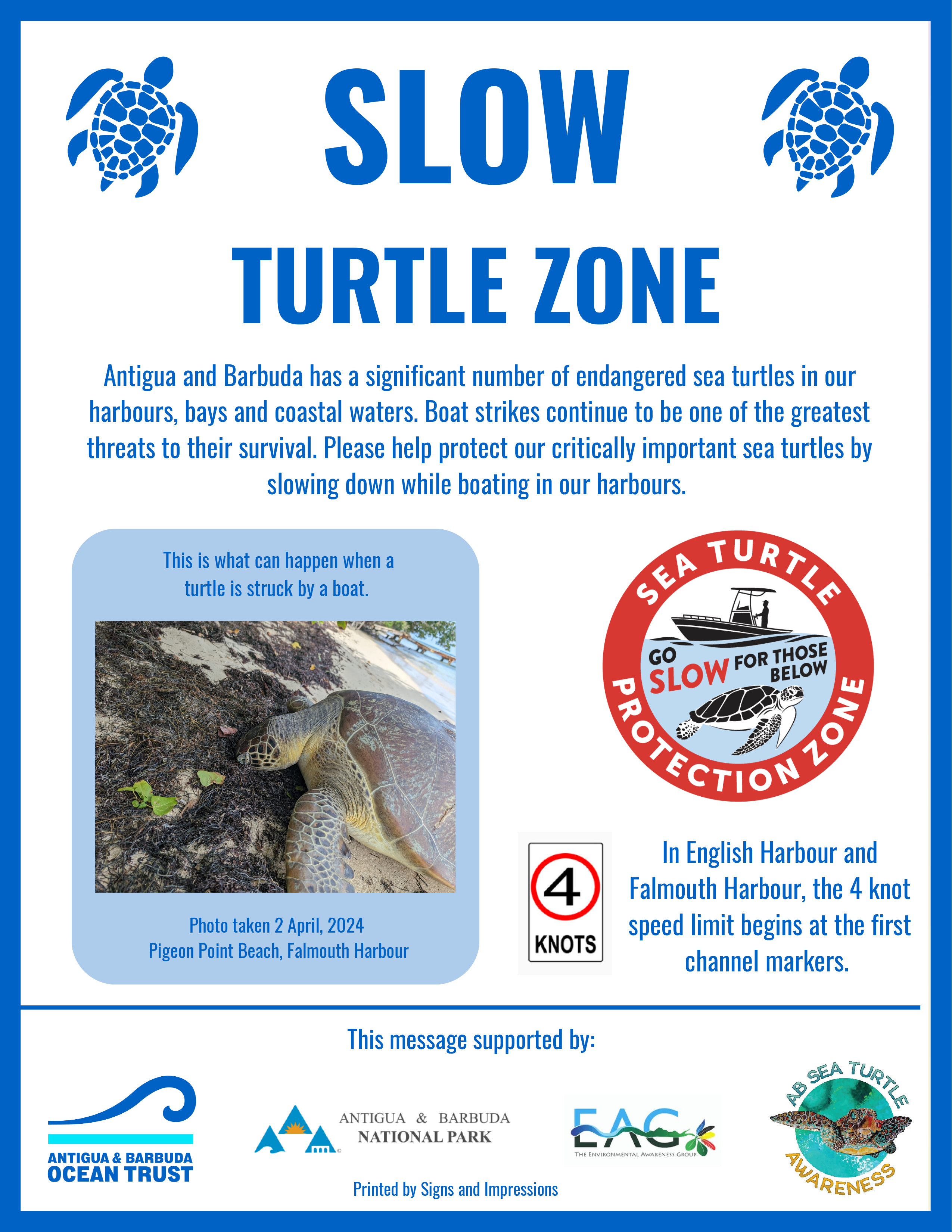 Sea Turtle Protection Zone poster