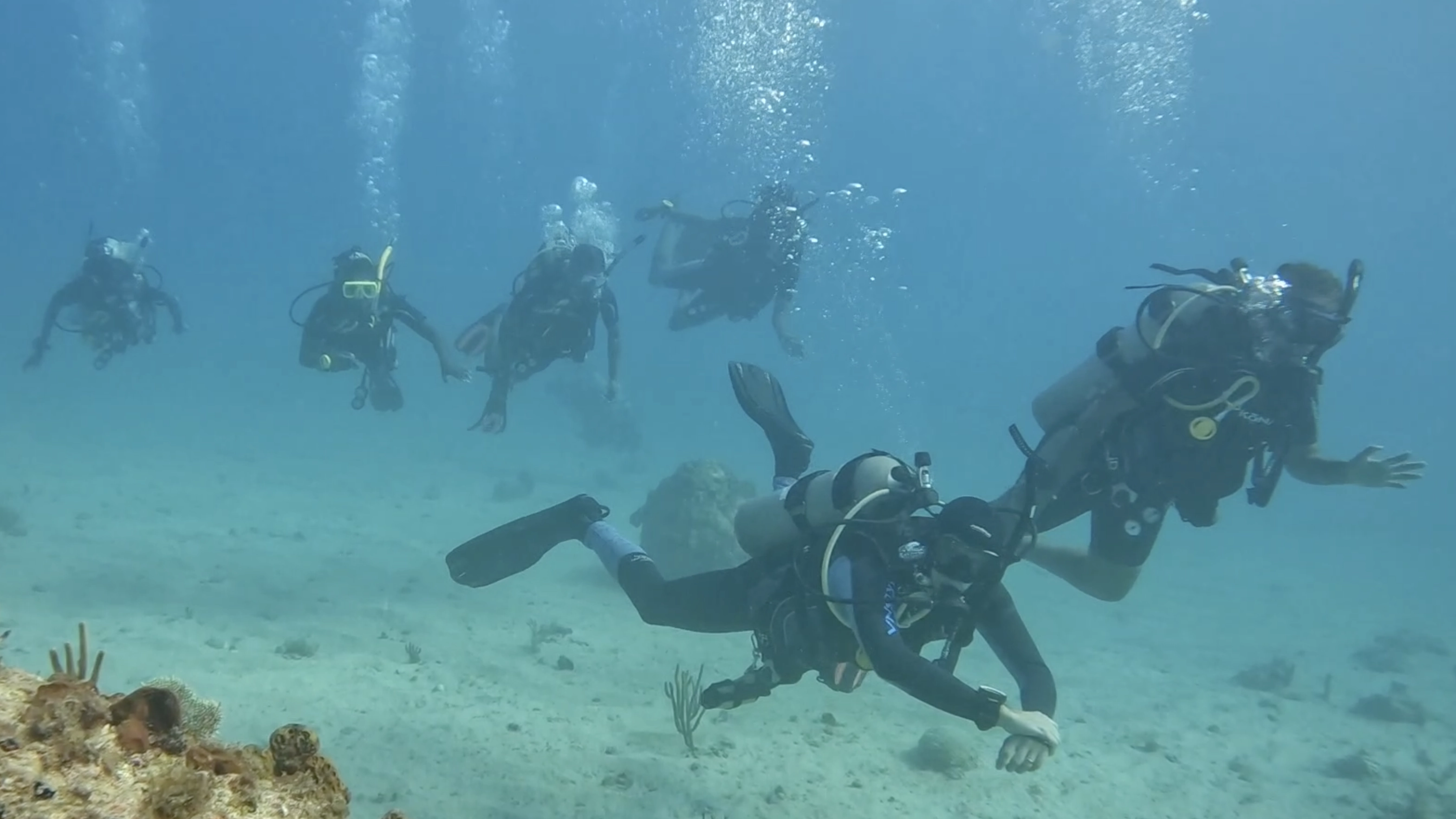 Youth EcoDiver program — group of young divers underwater